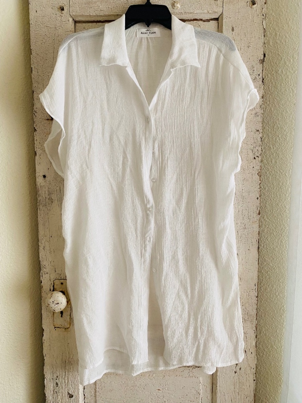 Long Sheer Gauzy Blouse
